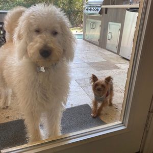 Meet your Posher, Karla